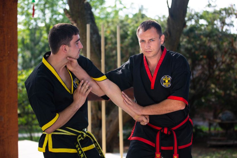 Bojové umění Wing Chun